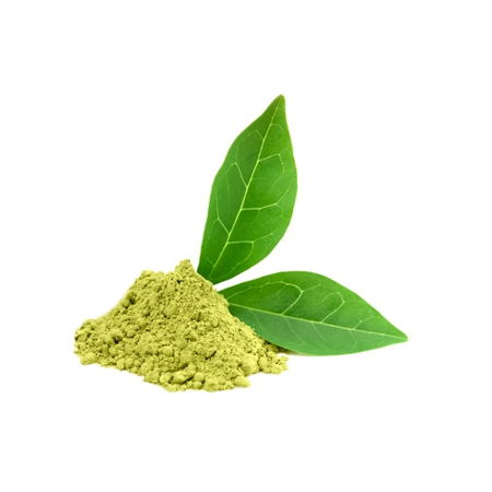 green-tea-extract-avesil-ingredient