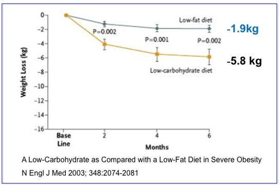 low carb diet australia