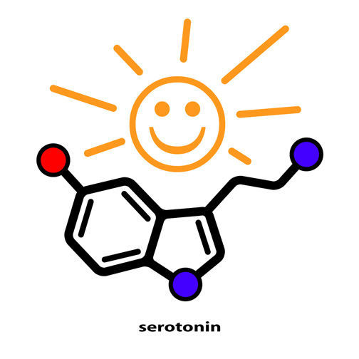 5htp-Serotonin_anti_depression