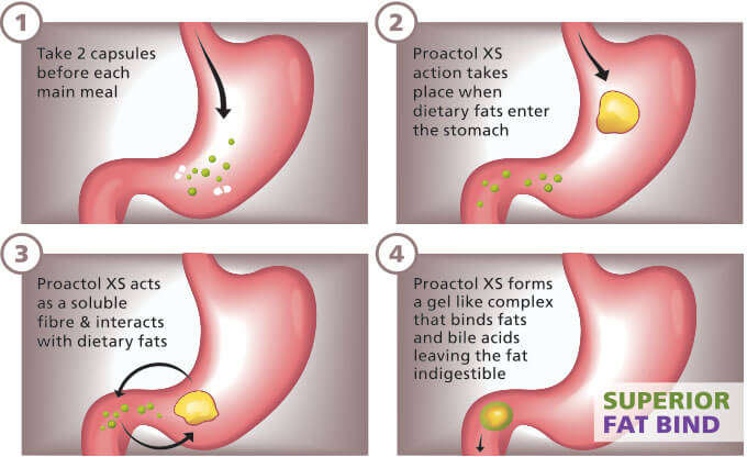 how-proactol xs-works