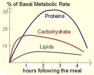 Increase metabolis rate