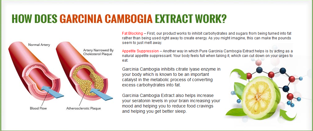 benefits-and-weight-loss-garcinia-in-canada
