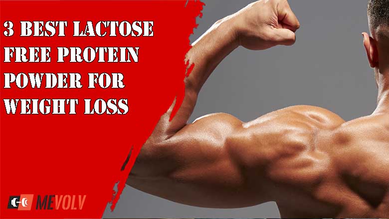 3 Best Lactose Free Protein Powder For Weight Loss