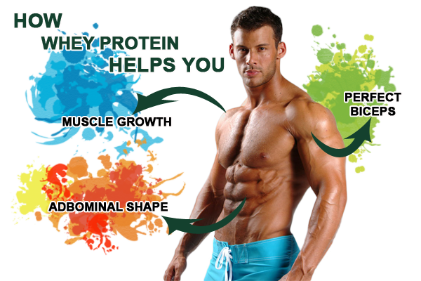 Benefits of whey protein isolate
