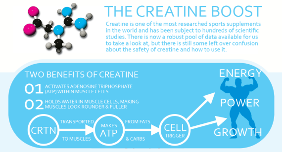 Creatine-How_IT_WORKS