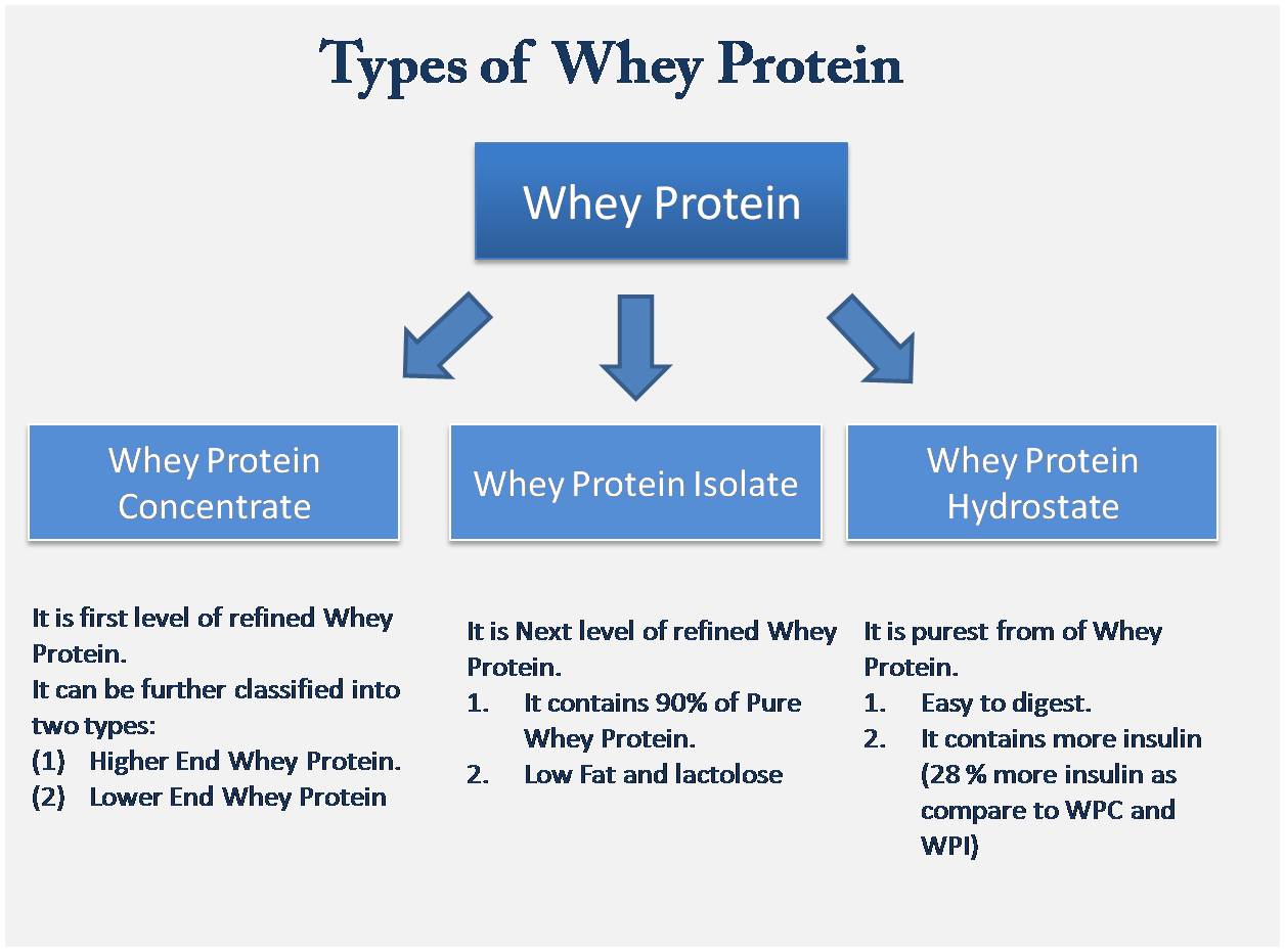 types-of-whey-protein