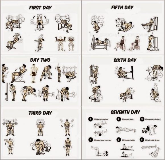 How Much Muscle Can You Gain In A Month? - Mevolv