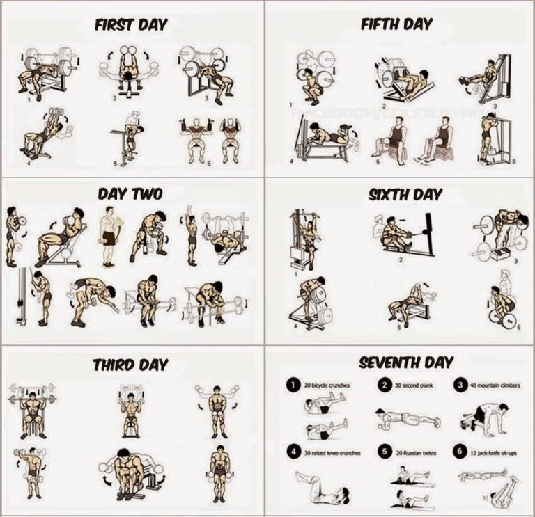 How Much Muscle Can You Gain In a Month? - MeVolv