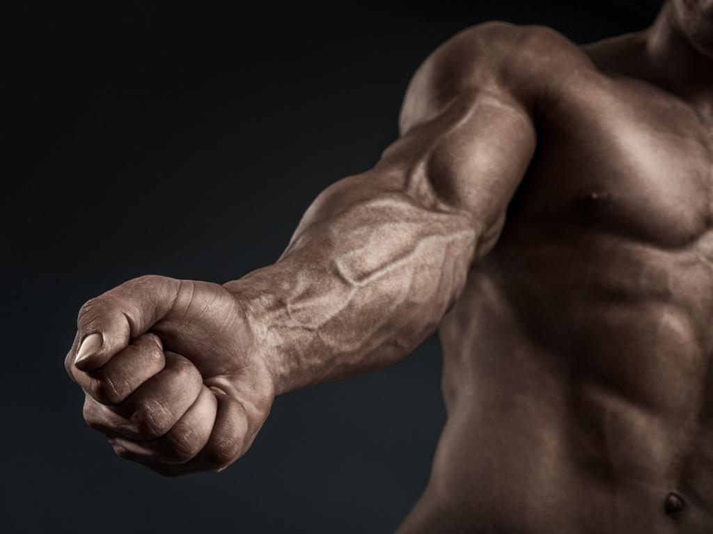 vascularity supplemets benefits on arms and body